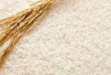 Productores de arroz solicitan precio de US$0,64 por kilo a nivel de productores