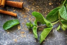 El té de menta y canela alivia la inflamación estomacal y mejora los problemas digestivos