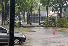 Lluvias e intensas ráfagas de viento causan caídas de árboles y afectaciones viales en Maturín
