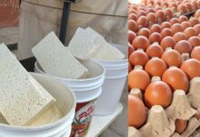 Reportan alza de precios del queso y cartón de huevos en el mercado viejo de Maturín