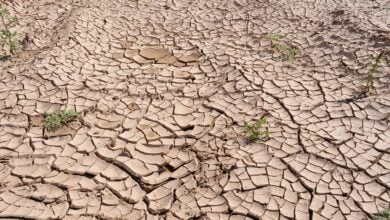 ¿Qué es el fenómeno de El Niño y cómo afecta a Venezuela?