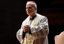 El papa León XIV pide el fin de la violencia contra la población palestina
