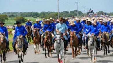 Realizan en Apure el arreo de ganado más grande de América Latina con más de 6.000 mautes