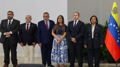 Inicia proceso para la reinstitucionalización de Venezuela, según Dinorah Figuera