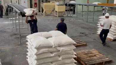 Zafra de caña de azúcar 2025-2026 produjo más de siete millones de toneladas