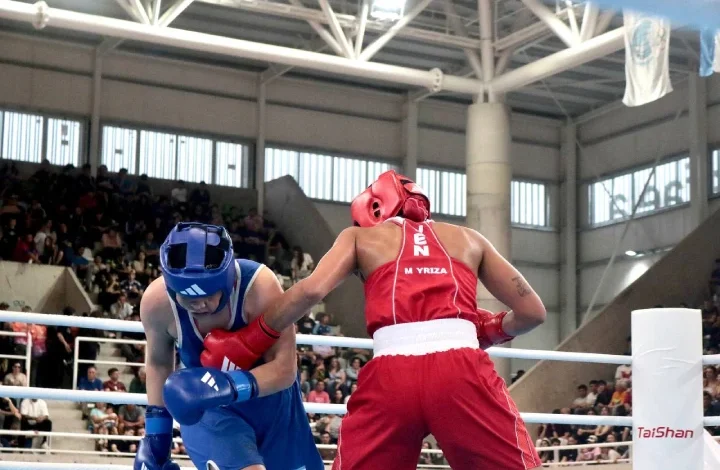 Boxeo femenino venezolano suma cuatro oros en los Suramericanos