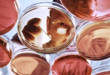 China lanza plan quinquenal para dominar la investigación biomédica