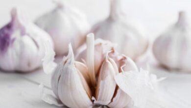 Estudios y expertos destacan los beneficios medicinales y cardioprotectores del ajo en la salud