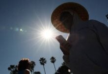 Alemania registra más de 16 mil muertes por olas de calor en el verano de 2026