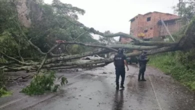 Atienden de emergencia a afectados por vientos huracanados en Táchira