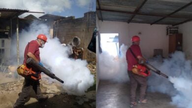 Realizan jornadas de fumigación y abatización en cinco sectores de Maturín