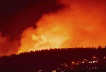 Incendio forestal en Nueva Zelanda devasta 1.200 hectáreas