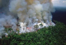 Fenómeno El Niño dispara un 74 % los incendios forestales en la Amazonía brasileña