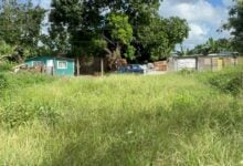 Vecinos de Las Brisas del Aeropuerto denuncian abandono del Parque El Este e inseguridad por falta de alumbrado