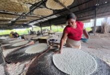 La tradición de las casaberas en Costo Abajo que se aferra al tiempo