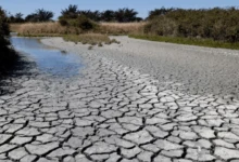 Perú declara estado de emergencia en 707 distritos por riesgo de déficit hídrico