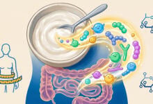 Yogur griego y microbiota intestinal: lo que revela un nuevo estudio