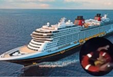 Mujer cae de un crucero y es rescatada con vida un día después