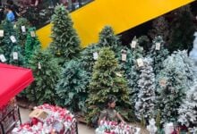 Esto es lo que cuesta encender el arbolito en los hogares monaguenses estas navidades